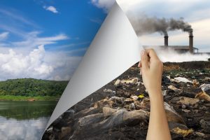 medidas responsáveis contra a contaminação do solo